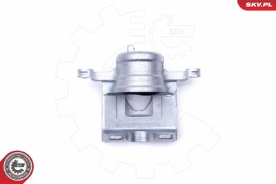 Brake Caliper 46SKV221