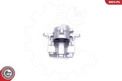 Brake Caliper 45SKV661