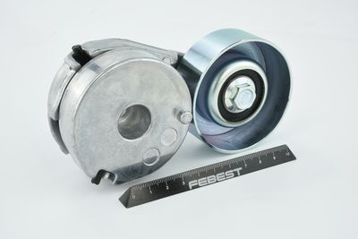 INTINZATOR CUREA CUREA DISTRIBUTIE FEBEST 0290T31 48