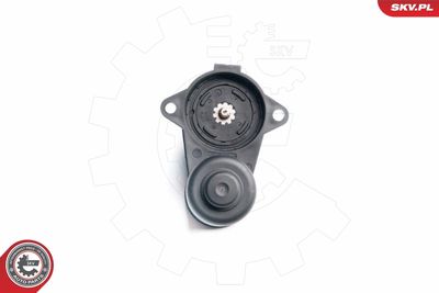 Control Element, parking brake caliper 96SKV010