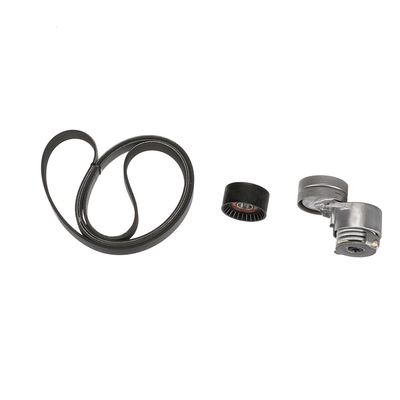 SET CUREA TRANSMISIE CU CANELURI GATES K036PK1795 61