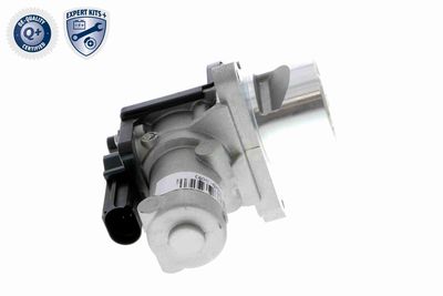 SUPAPA EGR ACKOJA A53630003 9