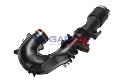 Intake hose, air filter