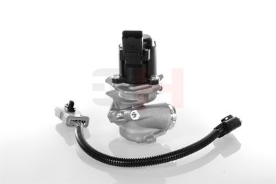 SUPAPA EGR GH GH732566 30