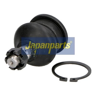 JAPANPARTS Šarnyras / girgždukas