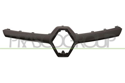 ZIER-/SCHUTZLEISTE KüHLERGITTER