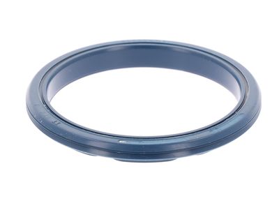 DICHTRING ACHSSCHENKEL