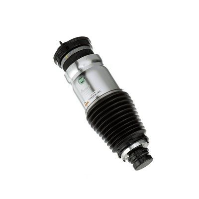 LUFTFEDERBEIN Arnott AS3380 56