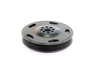 FULIE CUREA ARBORE COTIT VAICO V104342 54