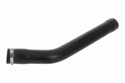 FURTUN EAR SUPRAALIMENTARE VAICO V241595 1