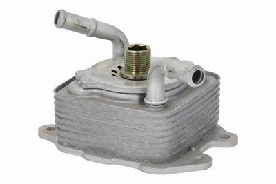 RADIATOR ULEI ULEI MOTOR ACKOJA A38600024 3