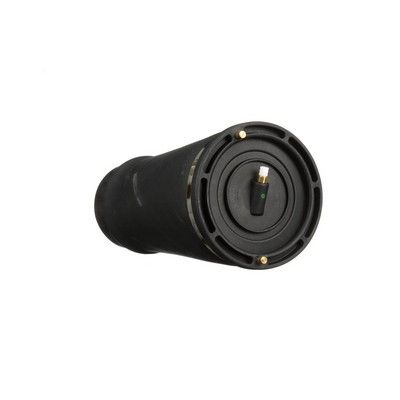 LUFTFEDER FAHRWERK Arnott A2202 20