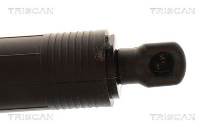 AMORTIZOR PORTBAGAJ TRISCAN 871029334 3