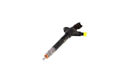 INJECTOR REMANTE 002003002094R 61