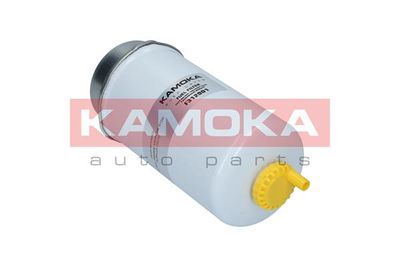 Fuel Filter F312901