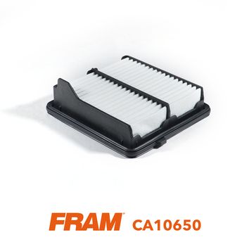 FRAM CA10650