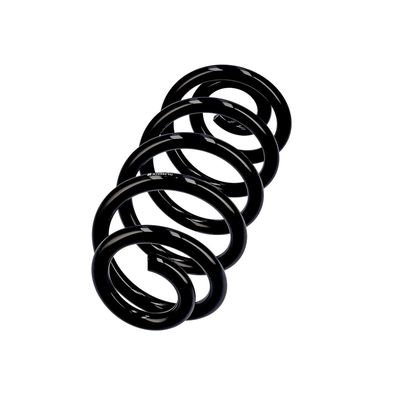 ARC SPIRAL EIBACH R10553 2
