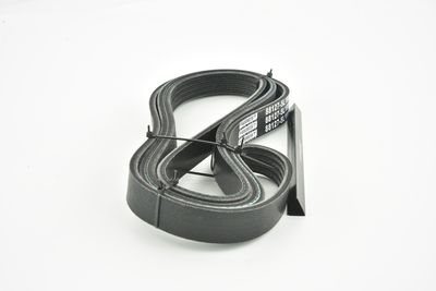 CUREA TRANSMISIE CU CANELURI FEBEST 881275L1885 40