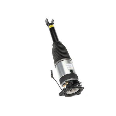 LUFTFEDERBEIN Arnott AS2969 69