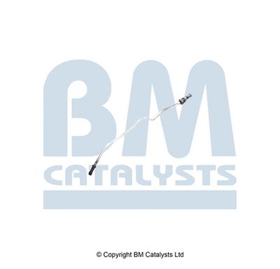 тръбичка, сензор за налягане (филтър за твърди частици) BM Catalysts PP11322A