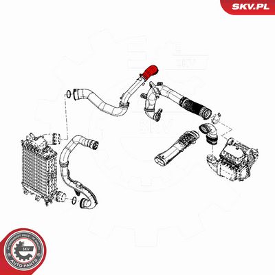 FURTUN EAR SUPRAALIMENTARE ESEN SKV 43SKV216 3