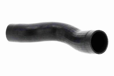 FURTUN EAR SUPRAALIMENTARE ACKOJA A370110 2