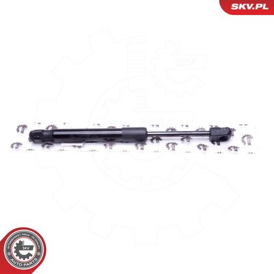 Dujinė spyruoklė, bagažinė