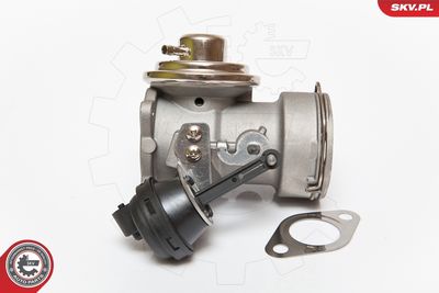 EGR Valve 14SKV080