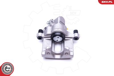 Brake Caliper 42SKV544