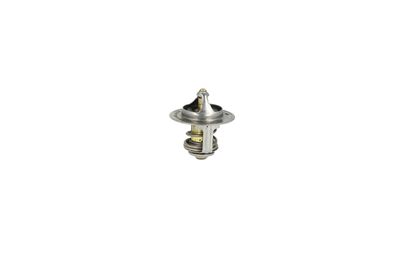 TERMOSTAT LICHID RACIRE NRF 725173 34