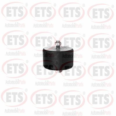 окачване, двигател ETS 10.ST.350
