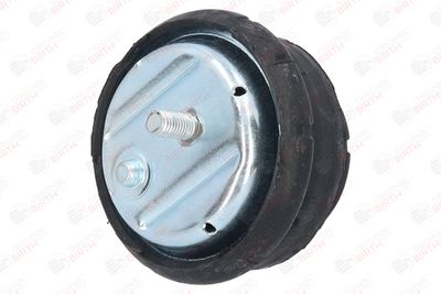 SUPORT MOTOR BIRTH 50121 4