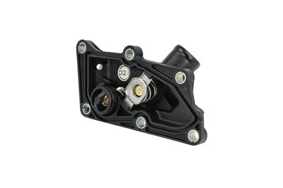 TERMOSTAT LICHID RACIRE NRF 725436 41