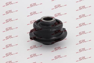 Mounting, control/trailing arm