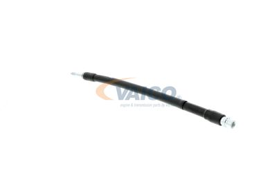 FURTUN FRANA VAICO V104223 17