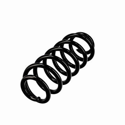 ARC SPIRAL EIBACH R10615 15