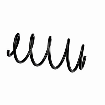 ARC SPIRAL EIBACH R10193 8