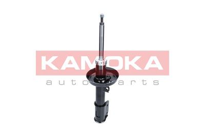 Shock Absorber 2000418