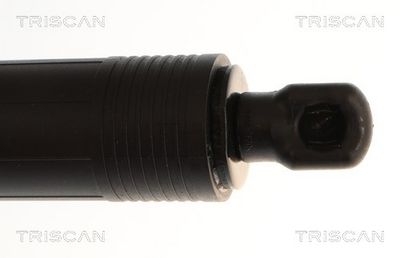 Plynárenská vzpera (pneumatická pružina), zavazadlový priestor TRISCAN 8710 23318