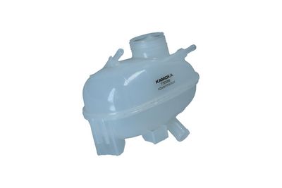 VAS DE EXPANSIUNE RACIRE