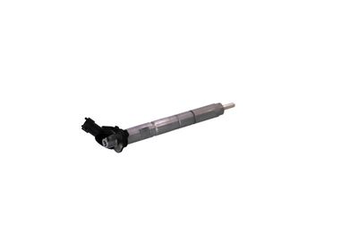 INJECTOR REMANTE 002003001368R 38