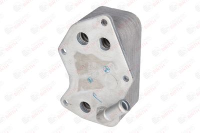 RADIATOR ULEI ULEI MOTOR BIRTH 80313 2