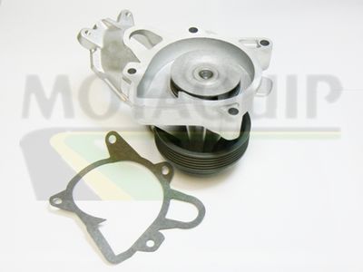 POMPă DE APă RăCIRE MOTOR MOTAQUIP VWP826 1