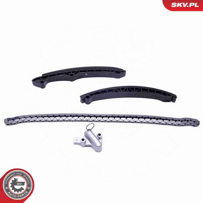 CHIT LANT DE DISTRIBUTIE ESEN SKV 21SKV160 1