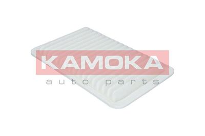 Air Filter F211801