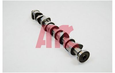 NOCKENWELLE AMC 668881 2