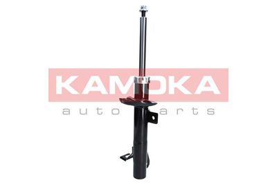 Shock Absorber 2000262