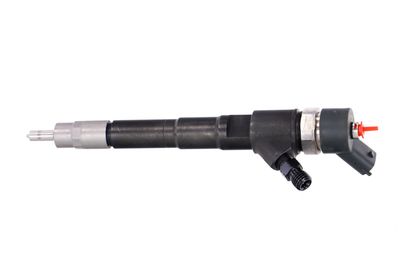 INJECTOR REMANTE 002003000031R 13