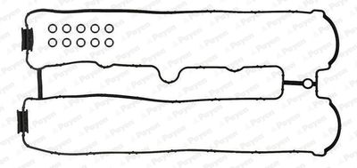 PAYEN HM5405 Прокладка клапанной крышки  для OPEL ANTARA (Опель Антара)