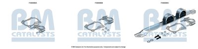 Монтажен комплект, катализатор BM Catalysts FK80080